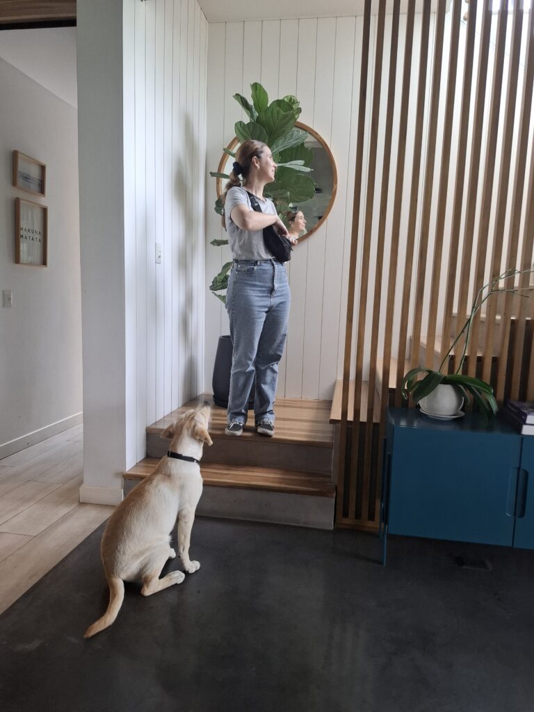 20250227 125414 20250227 125414