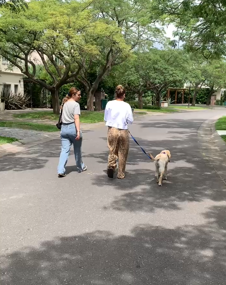 captura de pantalla 2025 10 16 104951 captura de pantalla 2025 10 16 104951