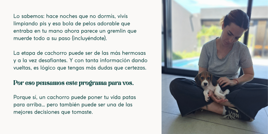 sobre off leash web (1) sobre off leash web (1)