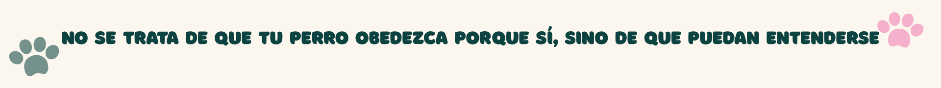web . off leash (4) web . off leash (4)
